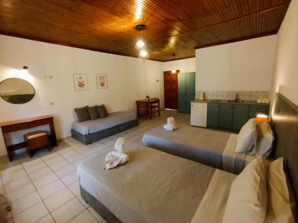 Studio - Accommodation